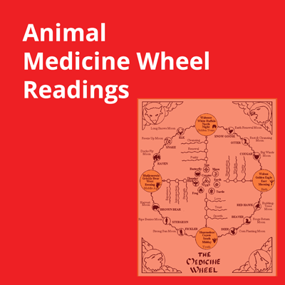 Animal Medicine Wheel Reading